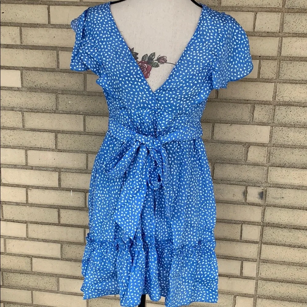 Blue Flutter Sleeve Frill Hemline Trim Dalmatian Dress - Picture 5 of 14